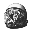 An astronaut's helmet with flowers inside. Used as the About Icon.